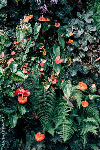 Floral botanical wall Background