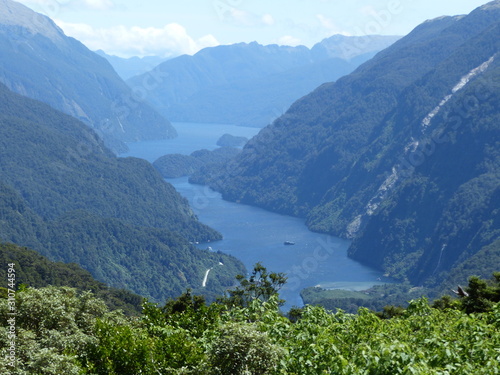 Doubtful sound in fjorland national park in New Zealand photo