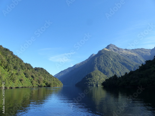 Doubtful sound in fjorland national park in New Zealand photo