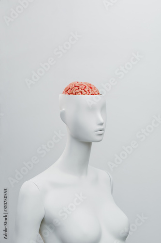 Female white mannequin with the top of the head opened. Can see the brain inside