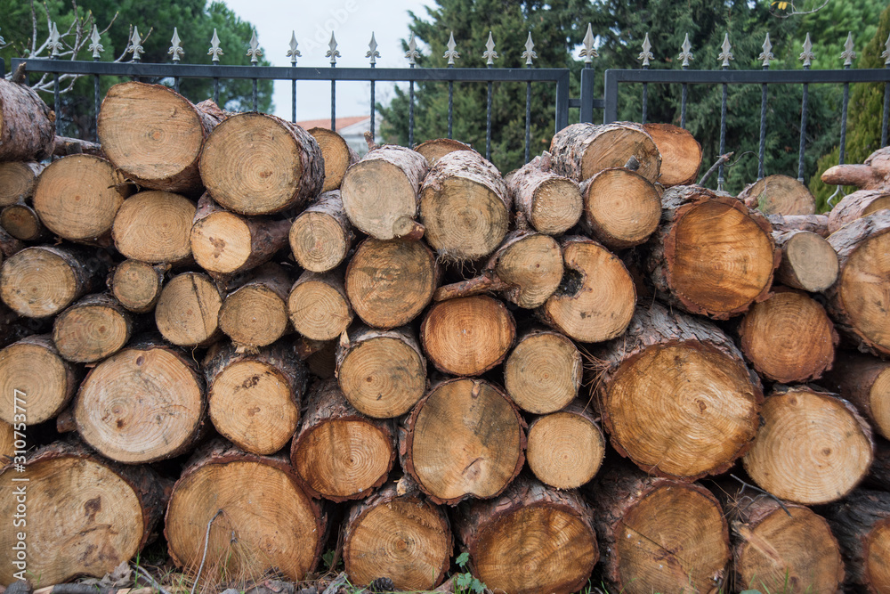 pile of wood logs for fireplace