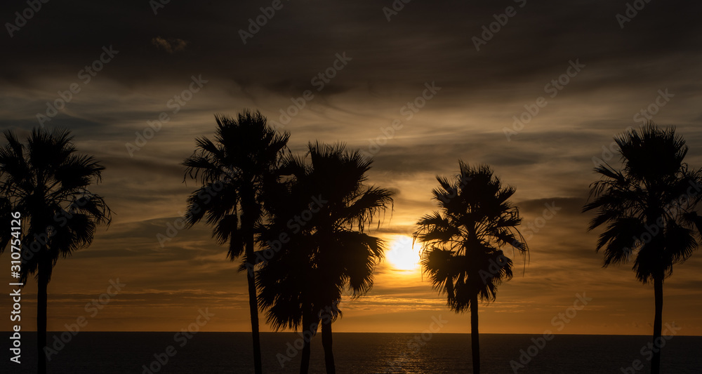 Obraz premium sunset on the beach Palm Trees
