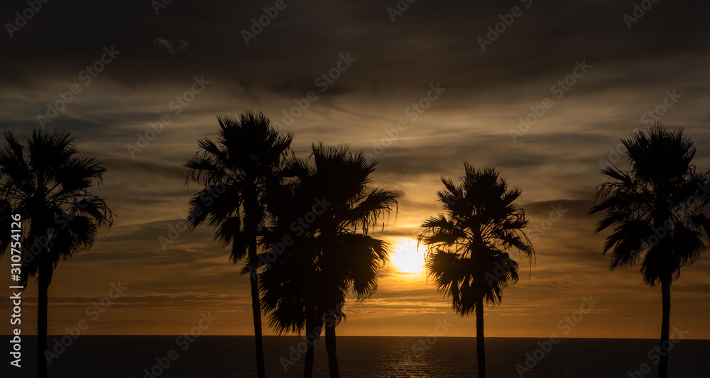 sunset on the beach Palm Trees