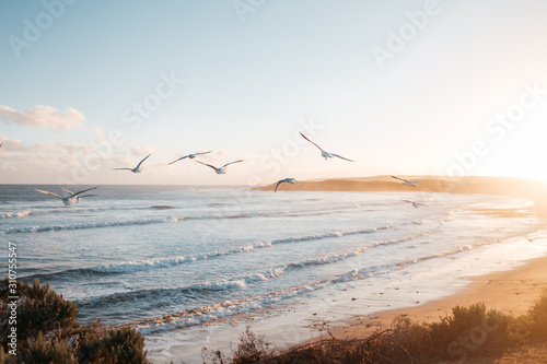 Great Ocean Road