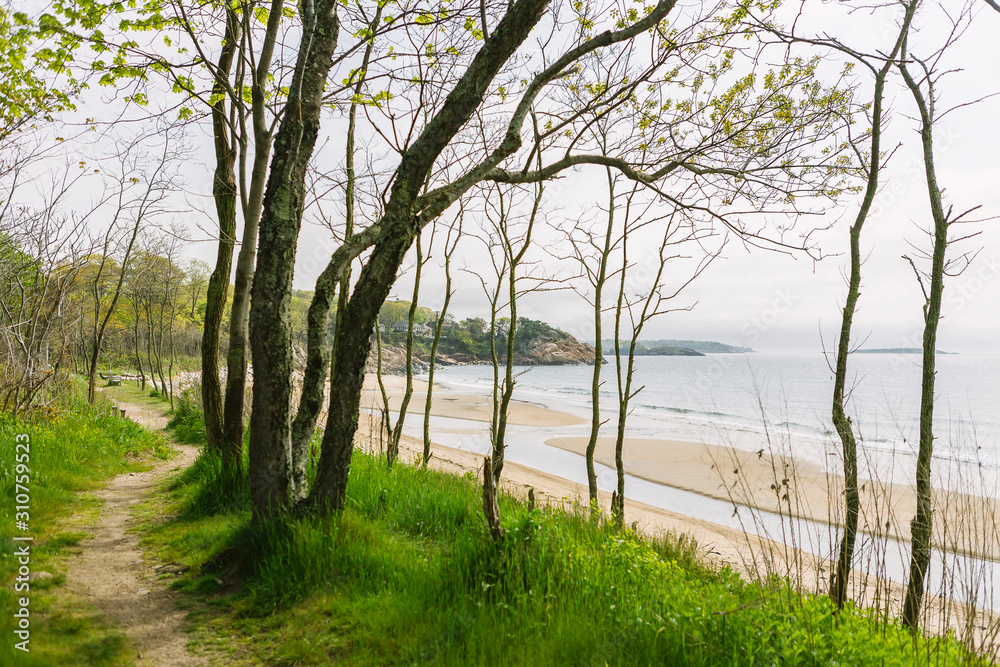 Spring Beach Landscape in Massachusetts Spring Beach Landscape in Massachusetts