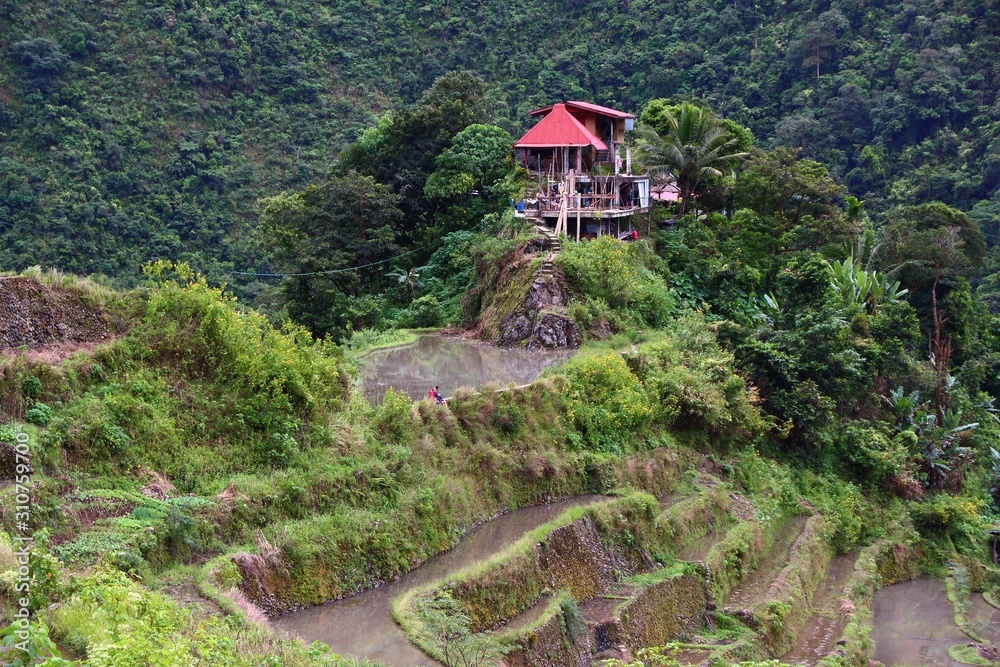 Philippines - Batad rice terraces