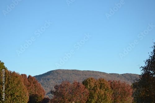 Colorful Trees With Mountains In Background Near Fall Creek Falls, Tennessee