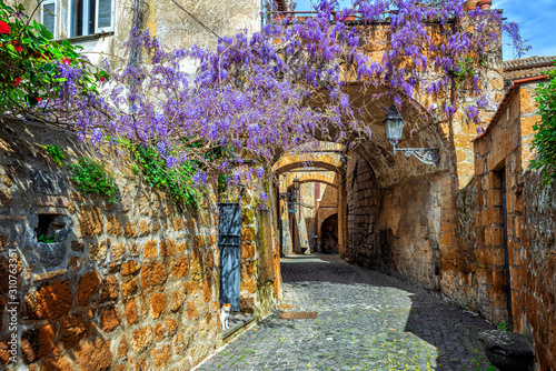 Blooming wisteria flowers in historical Orvieto Old town, Italy photo