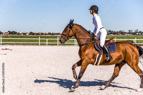 Young girl riding a horse . Equestrian sport in details. Sport horse and rider on gallop .