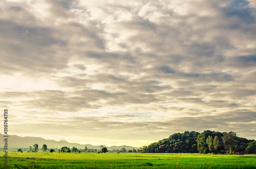 The beautiful sky and golden clouds background , The beautiful landscape at sunrise over rice fields and hills in Chiang Rai, Thailand.