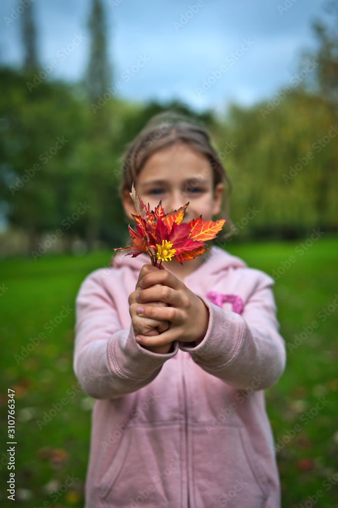 Young girl holding little bouquet of autumn leaves in front of her. Young girl holding little bouquet of autumn leaves in front of her.