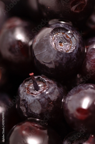 Wallpaper Mural Background of fruits of the blueberries. Fresh food in macro. Bilberries with the tail and dew drops in close-up. Torontodigital.ca