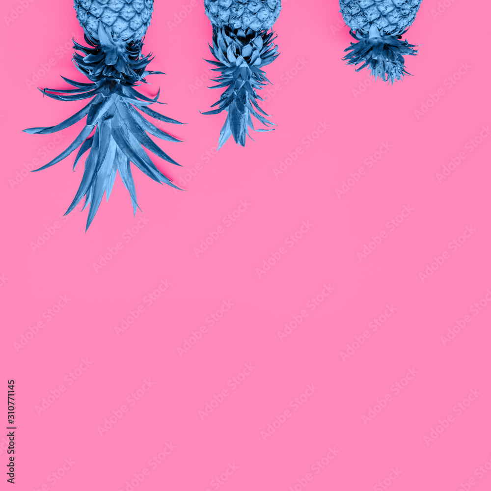 Creatively blue toned pineapples at the pink solid drop with place for text. Trendy modern duotone background. Square Creatively blue toned pineapples at the pink solid drop with place for text. Trendy modern duotone background. Square