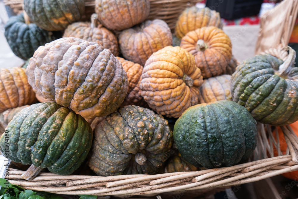 Basket of winter squash at the market