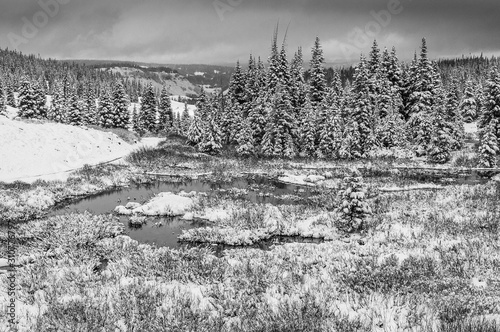 Snowy Colorado