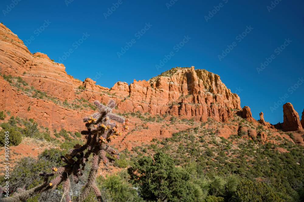 Sunny view of the beautiful landscape of Sedona Sunny view of the beautiful landscape of Sedona
