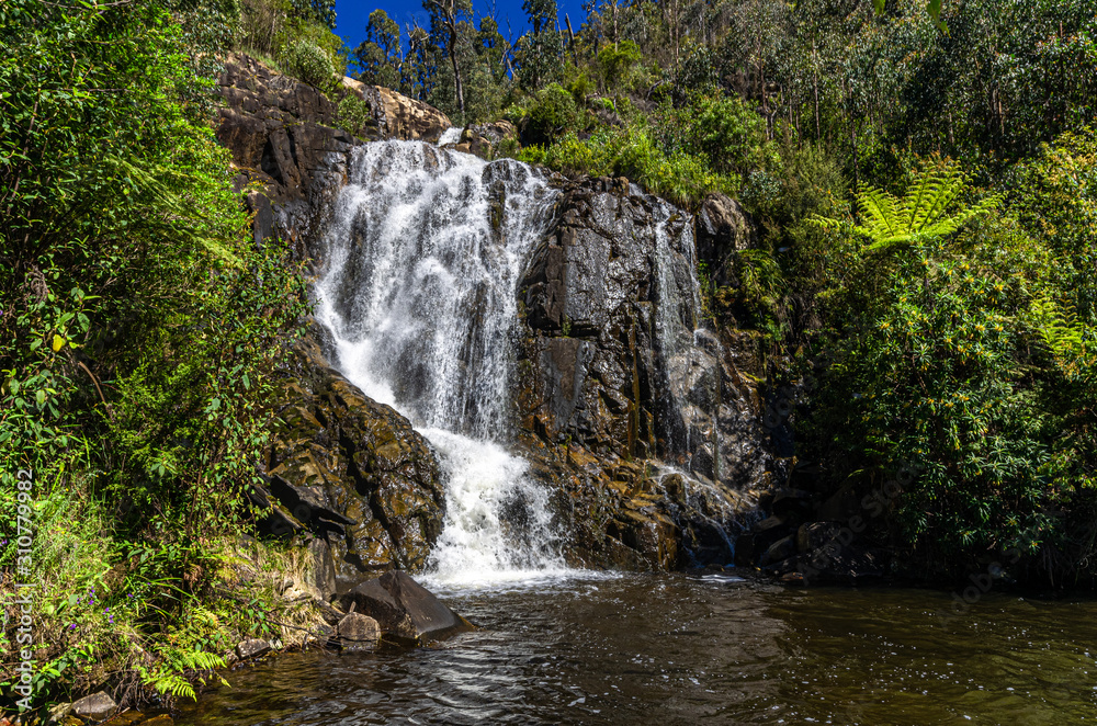 Fototapeta premium Steavensons Falls Pool Close