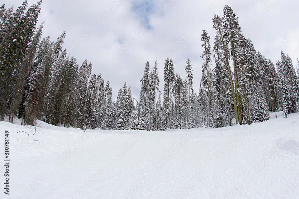 Fisheye view of beautiful snow covered mountains Fisheye view of beautiful snow covered mountains