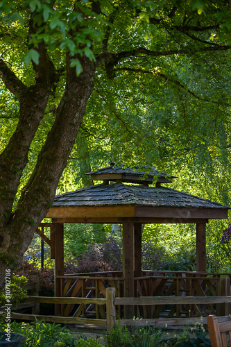 Obraz na plátně gazebo sitting in deep green forest area in summer