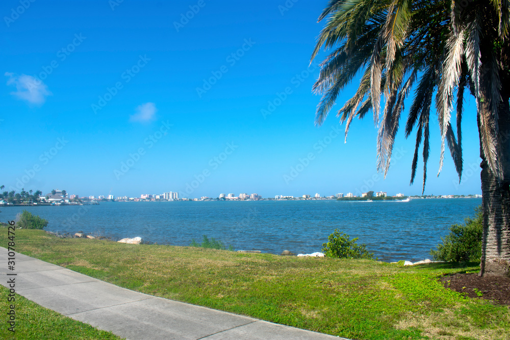 Views of Clearwater Harbor from Clearwater, Florida, USA, flanked by beautiful palm trees on a warm and sunny spring day