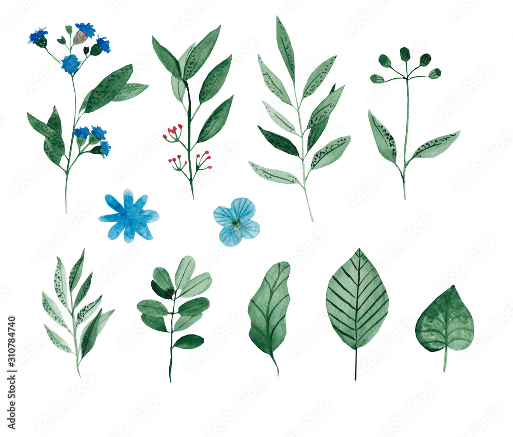 Fototapeta premium Set of hand drawn flowers and herbs painted in watercolor on white paper. Sketch of branch, foliage,leaves, berries.