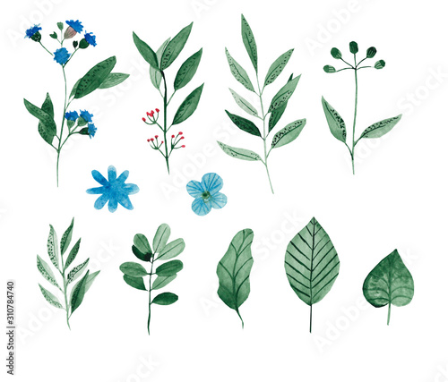 Set of hand drawn flowers and herbs painted in watercolor on white paper. Sketch of branch, foliage,leaves, berries.