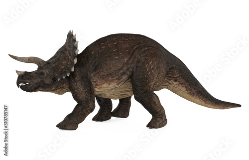 Triceratops Dinosaurs Isolated © nerthuz