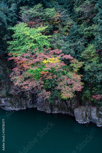 渓谷の小さな紅葉