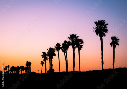 sunset on the beach