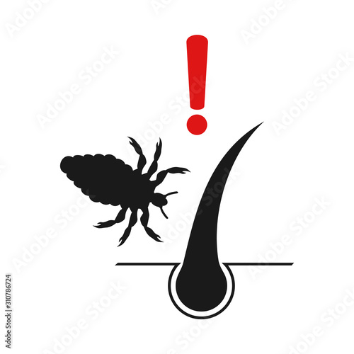 Louse insect draw