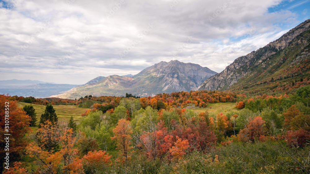 Fall colors looking towards Timpanogos Mountain.