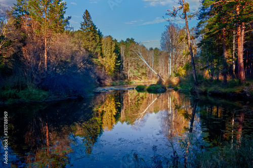 Beautiful autumn trees reflecting on the smooth water surface. Warm autumn day on the river. River bank landscape. photo