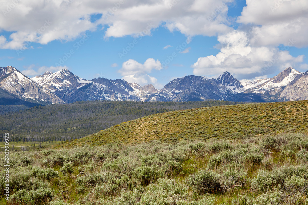 Beautiful Sawtooth Mts with snow covered peaks over green fields and forests