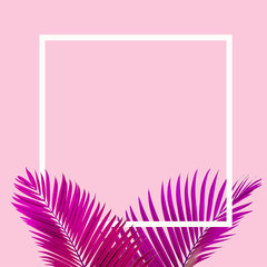 Natural pink palm leaf with white frame on pastel pink background, nature background