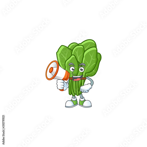Smiling cartoon character of spinach with megaphone