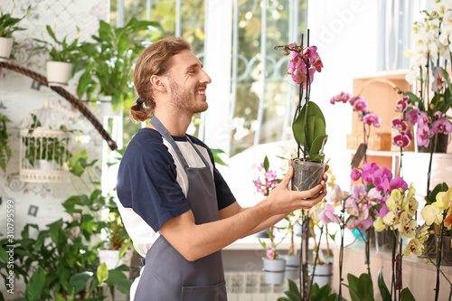Male florist with orchid plant in shop