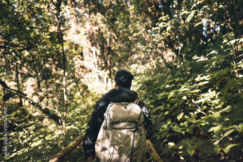 Backpack adult male photographer travelling in to the forest. © dodotone