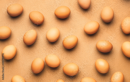 Fresh eggs on color background