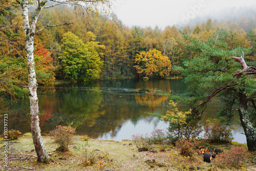 霧がたたずむ秋の森と池 - 御射鹿池、日本
