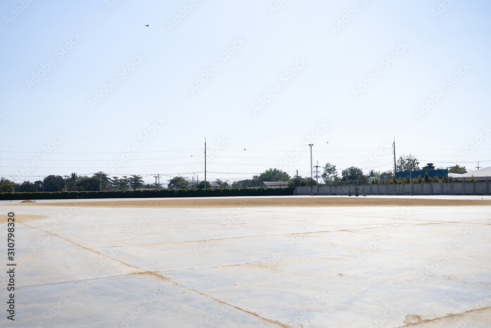 Paddy sun-dried on the ground to reduce moisture. Rice mill in thailand. Paddy sun-dried on the ground to reduce moisture. Rice mill in thailand.