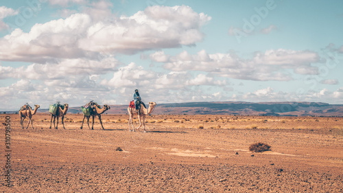 Nomadic man riding a camel in the Sahara Desert, Morocco © Cheryl Ramalho