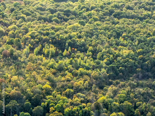 vue aérienne de forêt à Guerny dans le Val d'Oise en France