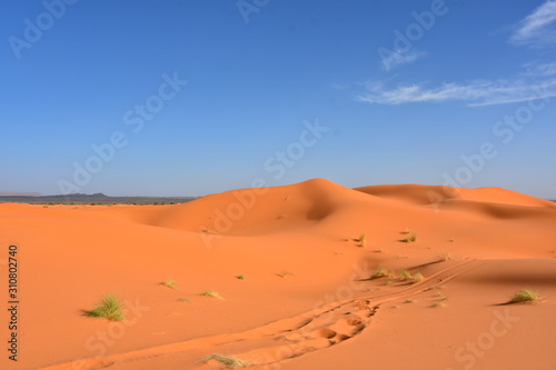  Merzouga Erg Chebbi dunes, Morocco