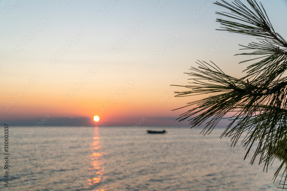 Palm tree on a sunset over the see in Greece