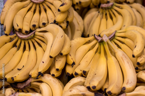 Delicious, amazing, ripe, yellow, and healthy bananas. photo