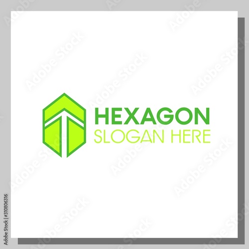 hexagon logo, can be used for website and company logos