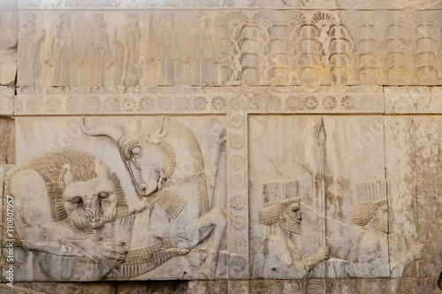 Old Persian bas-relief depiction of lion hunting a bull carved on stone wall at ancient Apadana, Persepolis palace. Fars Province, Shiraz, Iran.