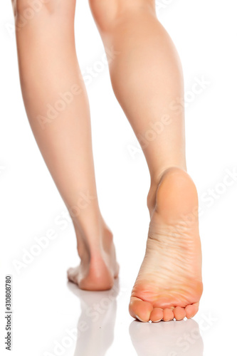 Beautifully groomed female feet on a white background © vladimirfloyd