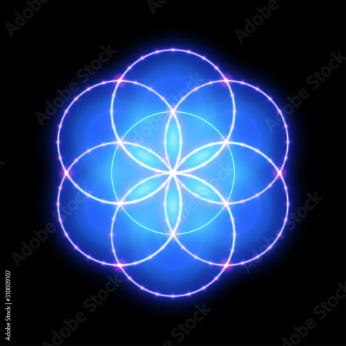 Sacred geometry, seed of life. Vector art.