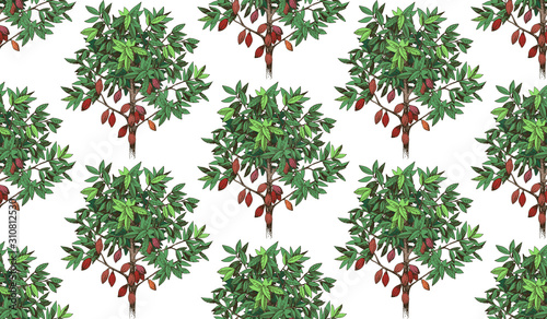 Seamless pattern with hand drawn cocoa trees